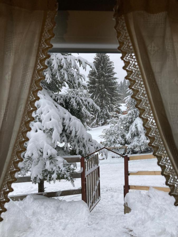 Vén Fenyő Kunyhó Ciceu Esterno foto