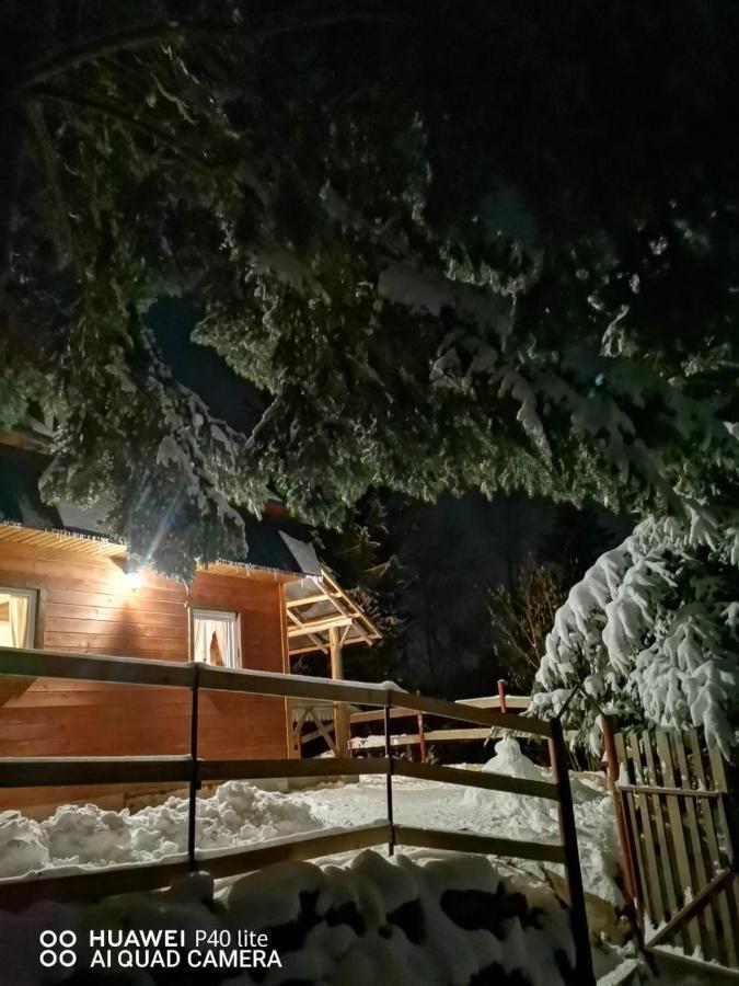 Vén Fenyő Kunyhó Ciceu Esterno foto